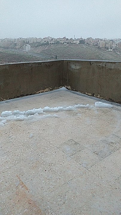 مشاركاتي في أنت الراصد