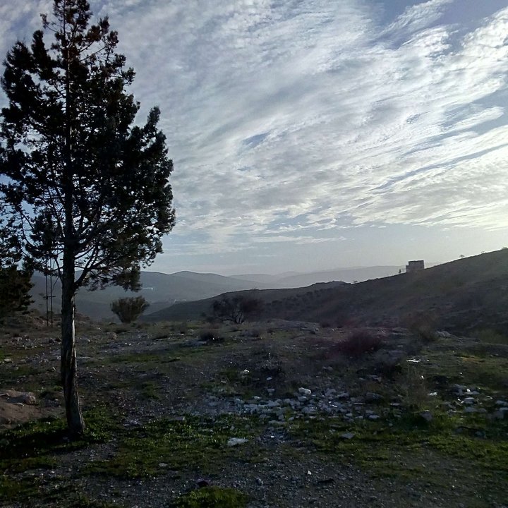 My Crowdsourcing Posts