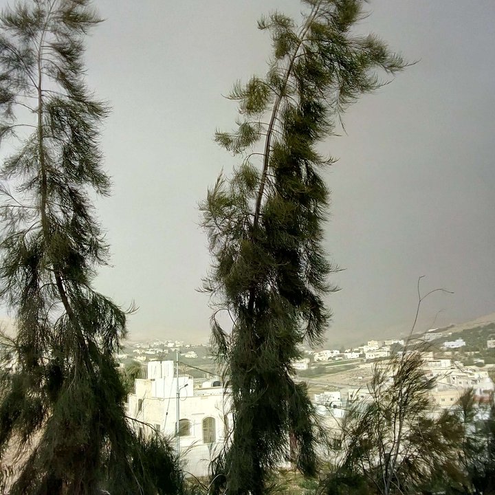 My Crowdsourcing Posts