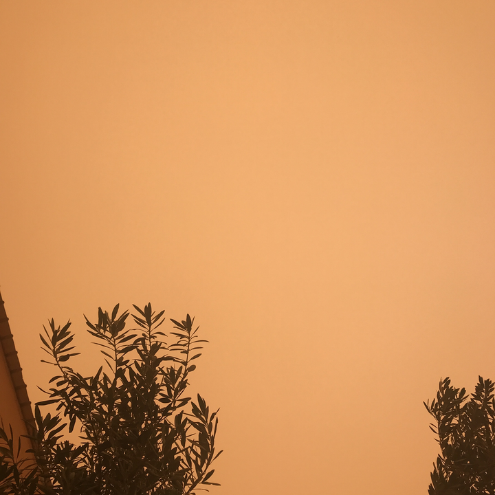 مشاركاتي في أنت الراصد