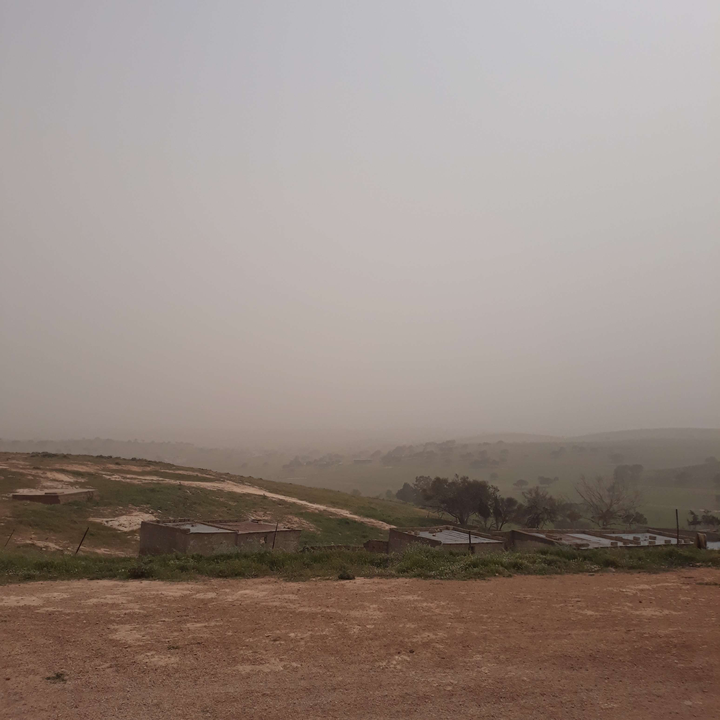 مشاركاتي في أنت الراصد