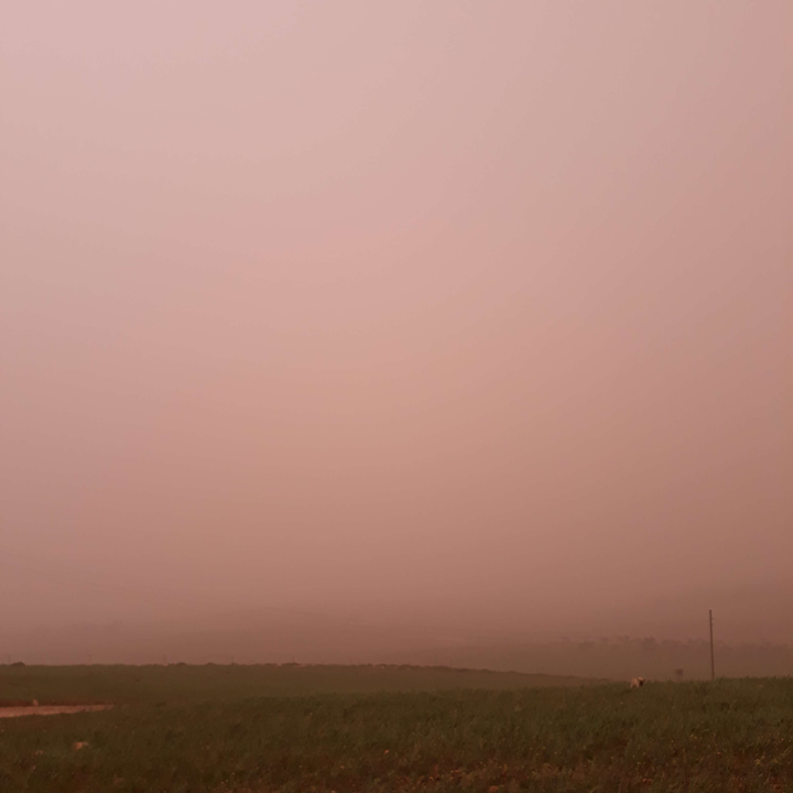 مشاركاتي في أنت الراصد