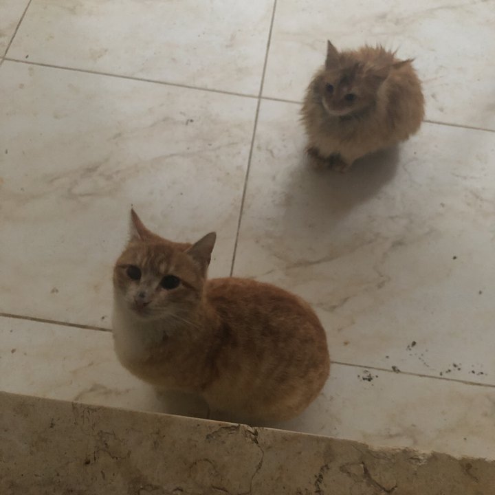 My Crowdsourcing Posts