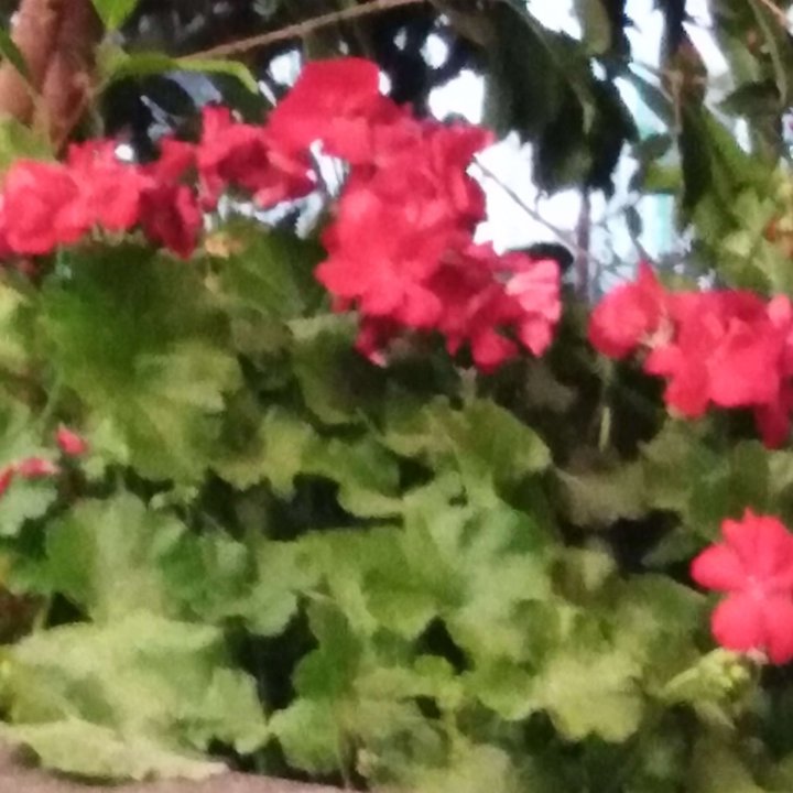 My Crowdsourcing Posts