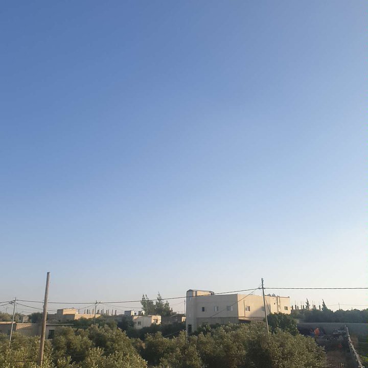 مشاركاتي في أنت الراصد