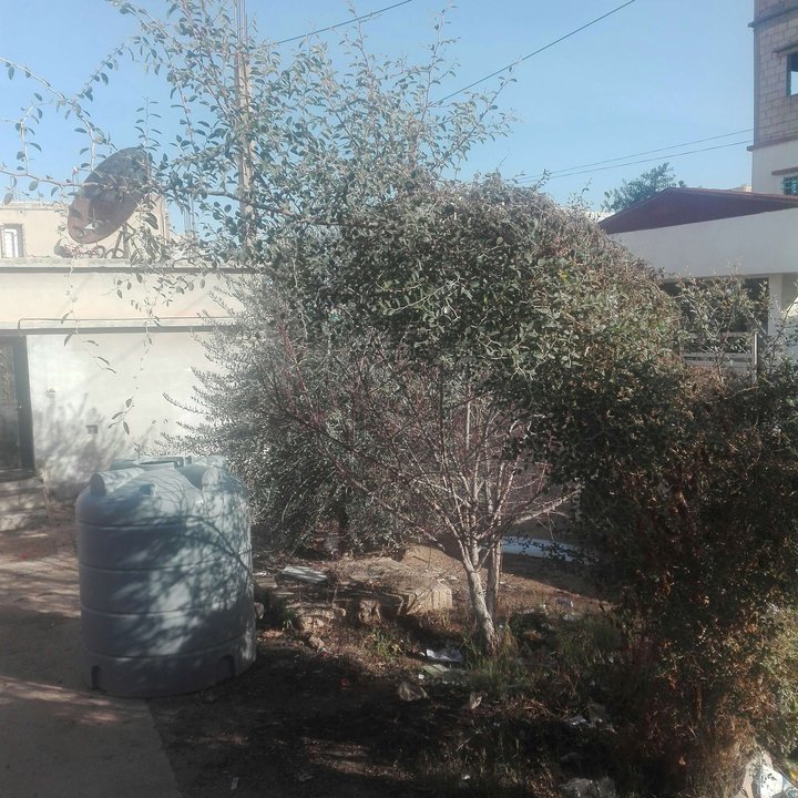 My Crowdsourcing Posts