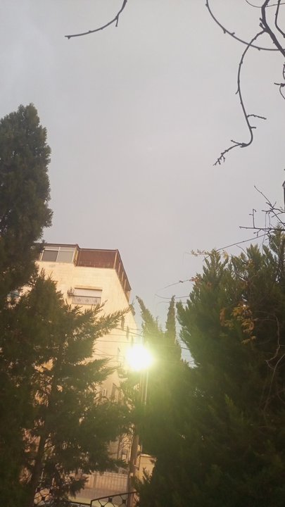 مشاركاتي في أنت الراصد