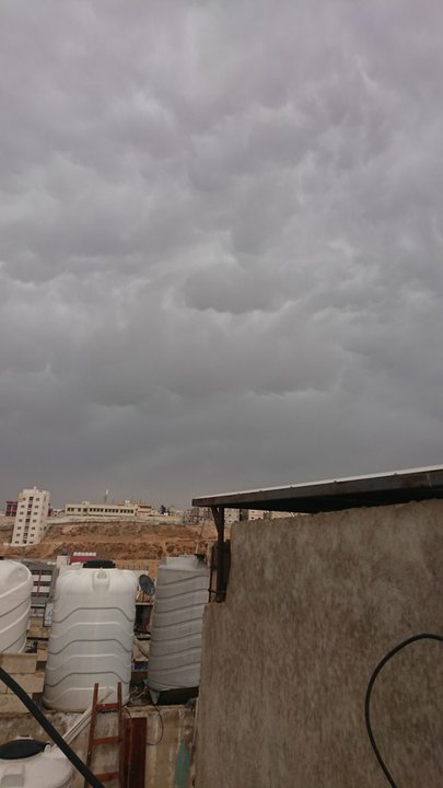 مشاركاتي في أنت الراصد