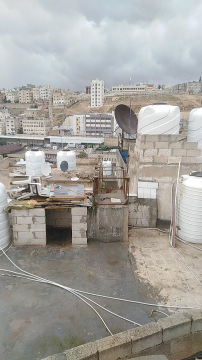 مشاركاتي في أنت الراصد