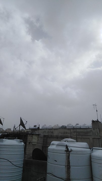 مشاركاتي في أنت الراصد