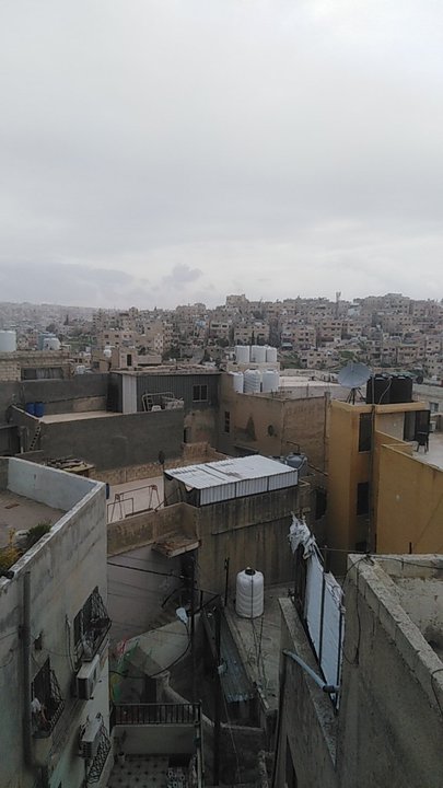 مشاركاتي في أنت الراصد