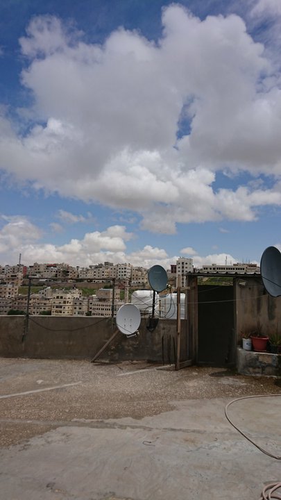 مشاركاتي في أنت الراصد