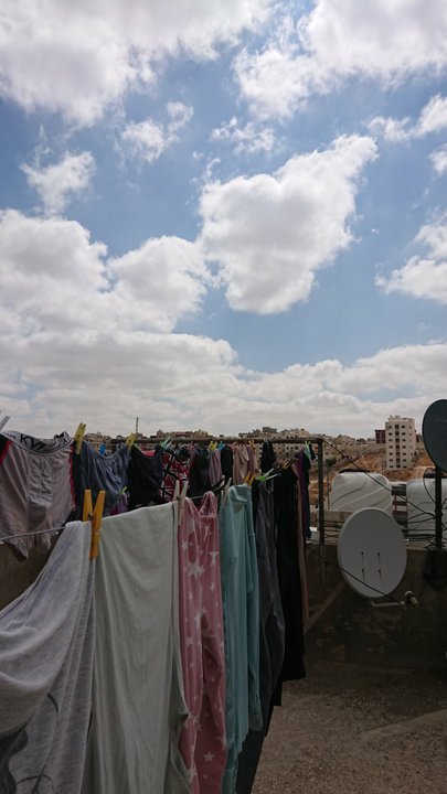 مشاركاتي في أنت الراصد