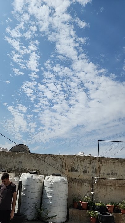 مشاركاتي في أنت الراصد