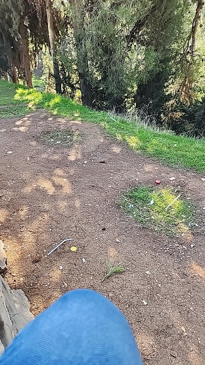 مشاركاتي في أنت الراصد