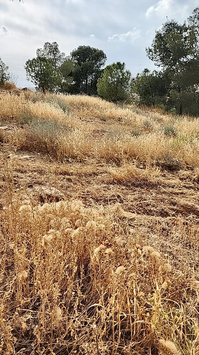 My Crowdsourcing Posts