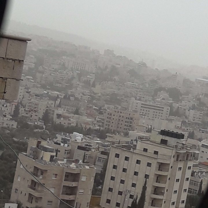 مشاركاتي في أنت الراصد