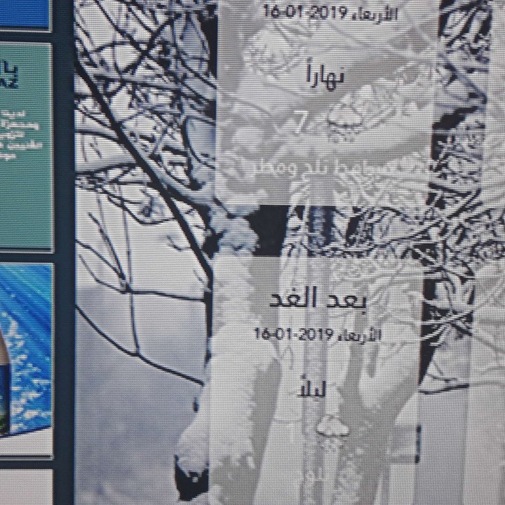 مشاركاتي في أنت الراصد