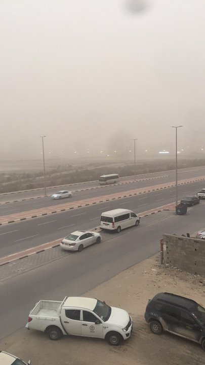 مشاركاتي في أنت الراصد