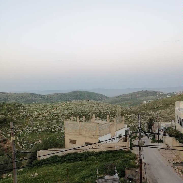 مشاركاتي في أنت الراصد