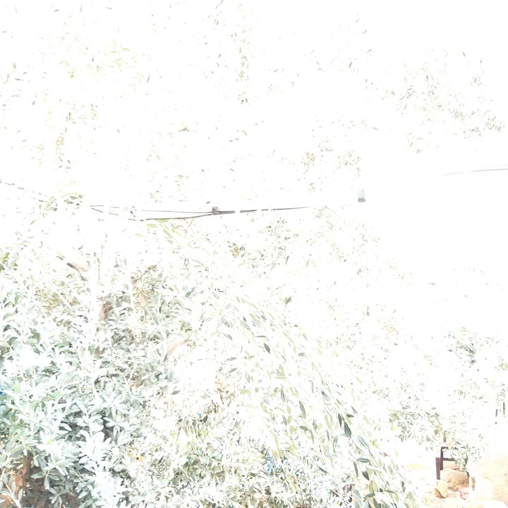 My Crowdsourcing Posts