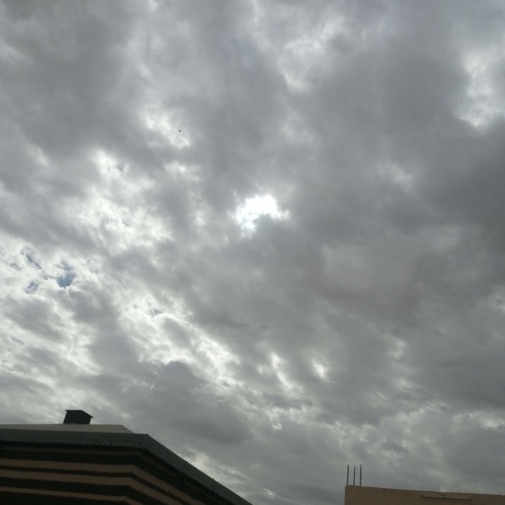 مشاركاتي في أنت الراصد