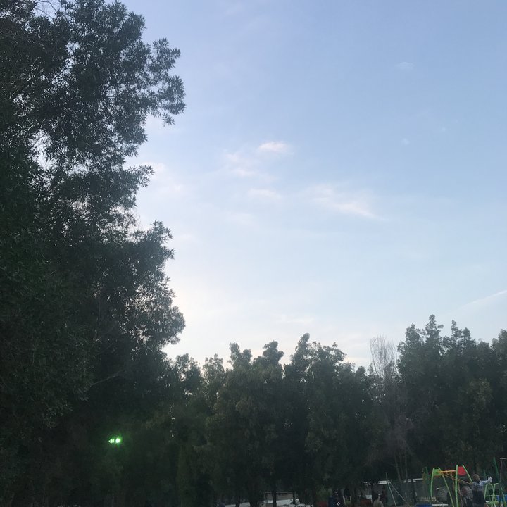 مشاركاتي في أنت الراصد