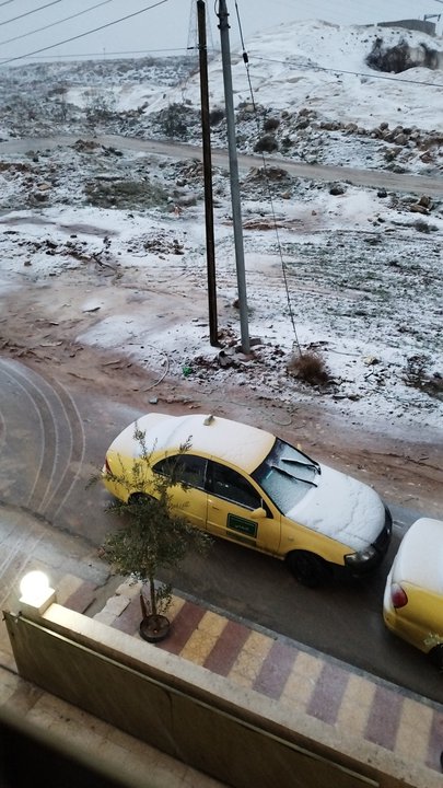 مشاركاتي في أنت الراصد