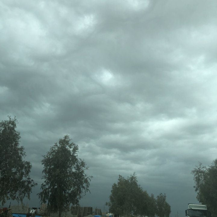 مشاركاتي في أنت الراصد