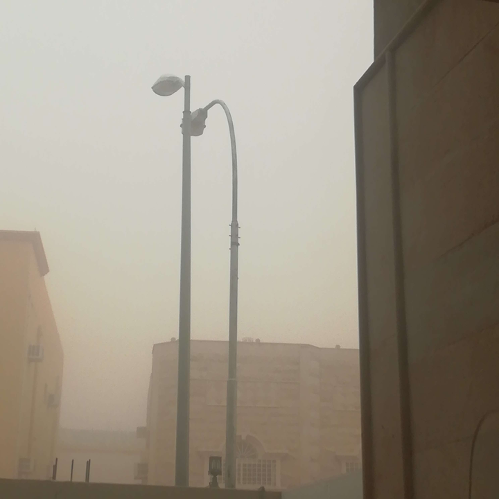 مشاركاتي في أنت الراصد