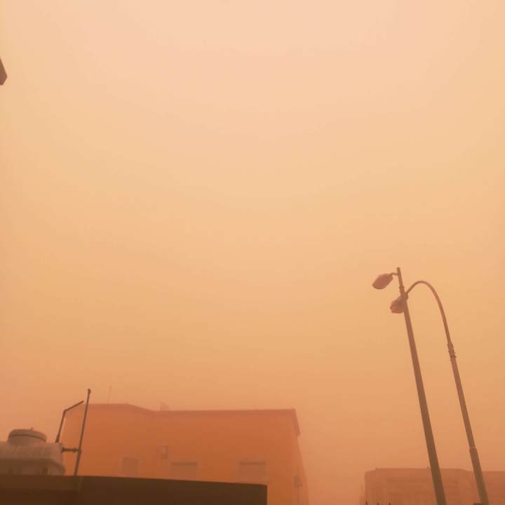 مشاركاتي في أنت الراصد