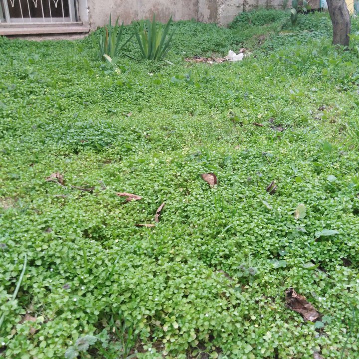 My Crowdsourcing Posts