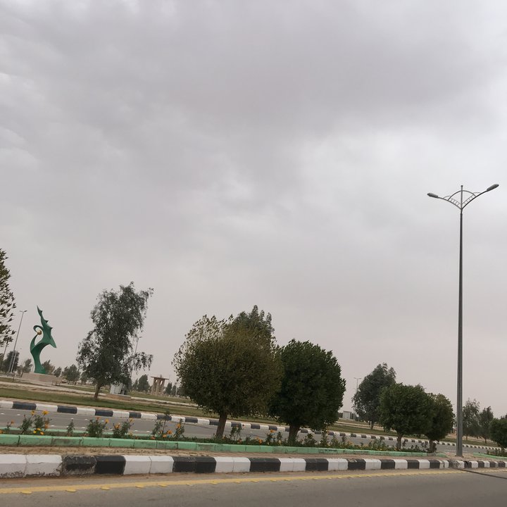 مشاركاتي في أنت الراصد