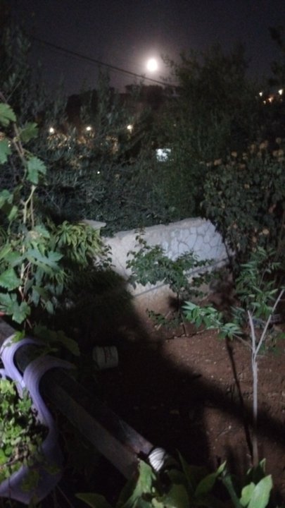 مشاركاتي في أنت الراصد