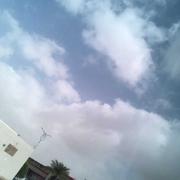 مشاركاتي في أنت الراصد