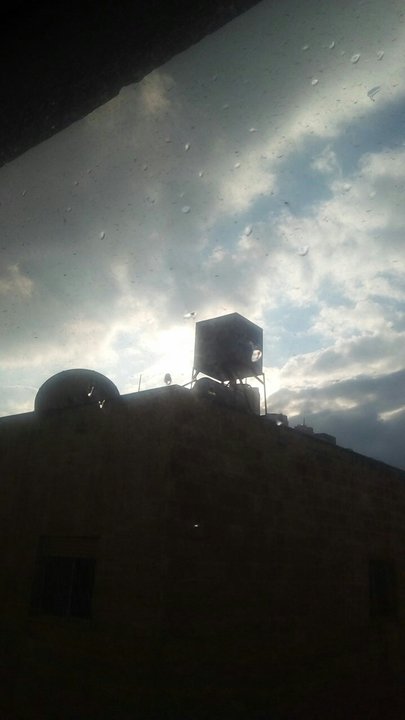 مشاركاتي في أنت الراصد