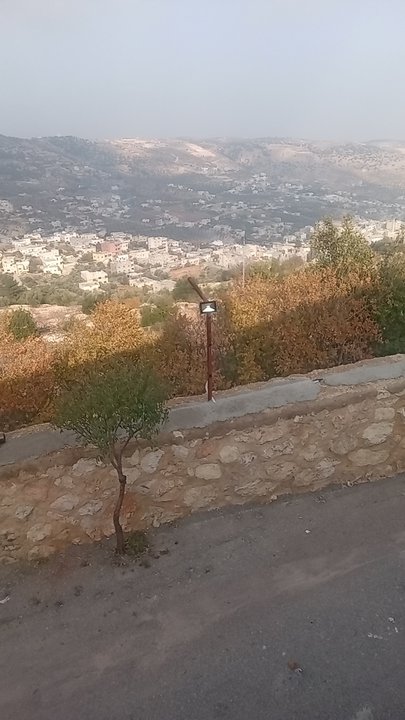 مشاركاتي في أنت الراصد