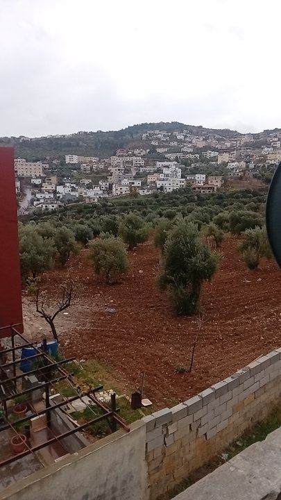 مشاركاتي في أنت الراصد