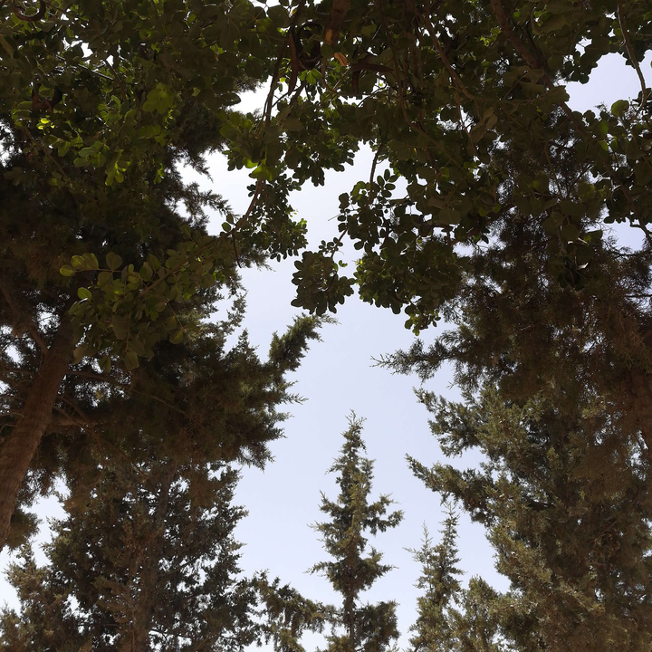 My Crowdsourcing Posts