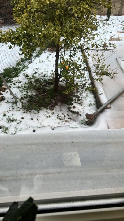 مشاركاتي في أنت الراصد