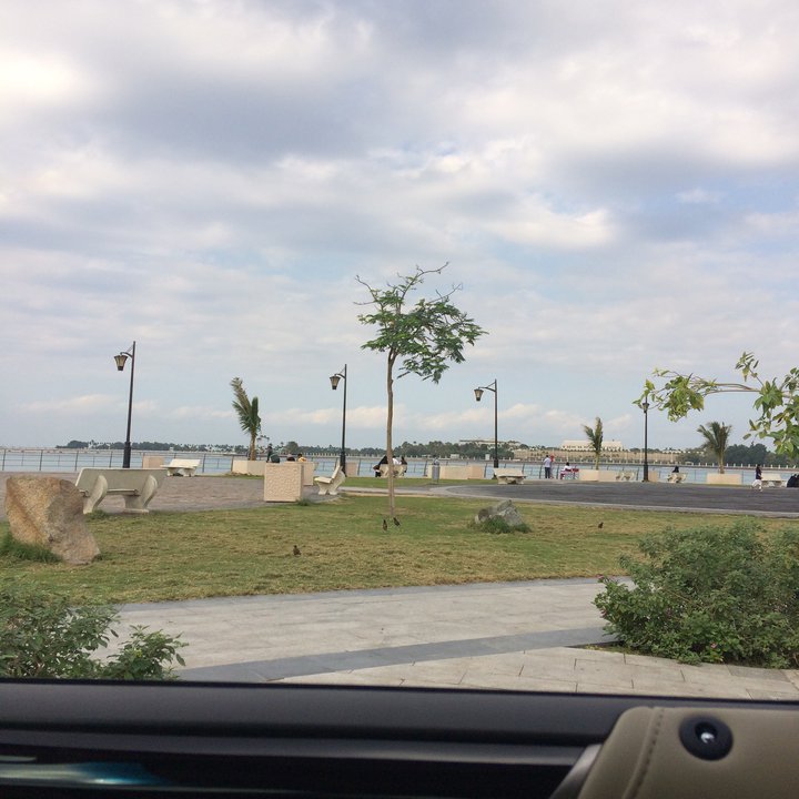 مشاركاتي في أنت الراصد