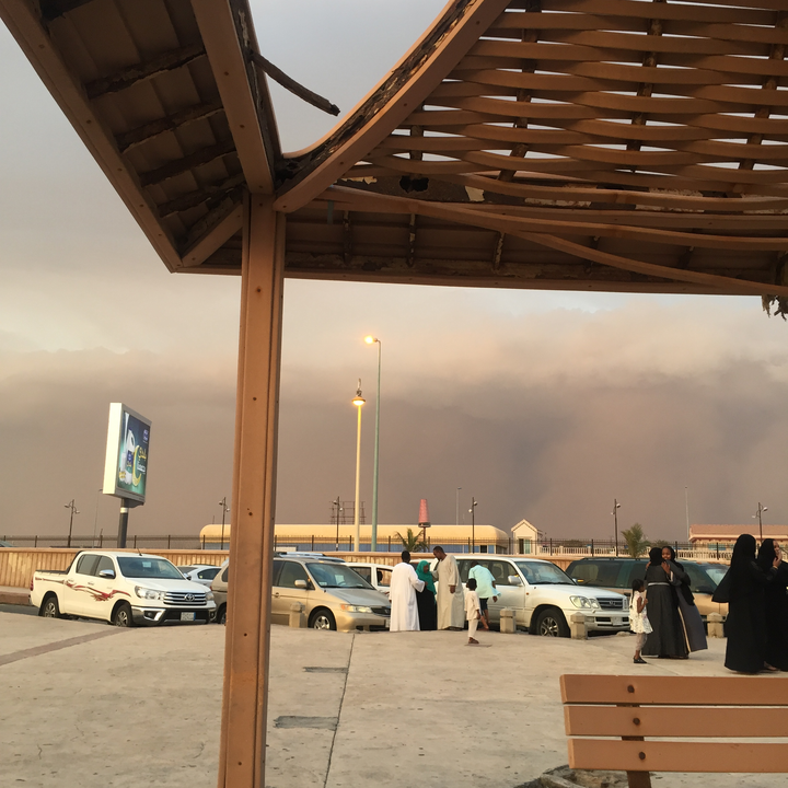 مشاركاتي في أنت الراصد