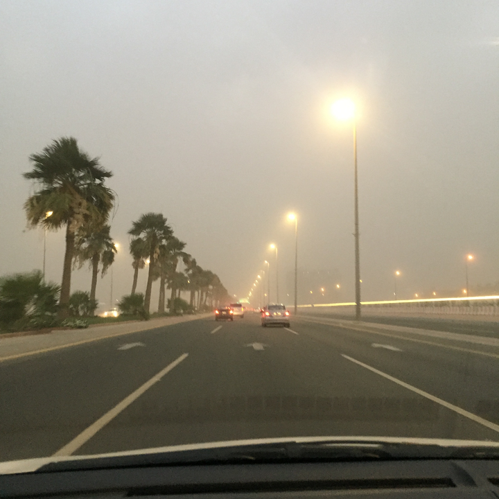 مشاركاتي في أنت الراصد