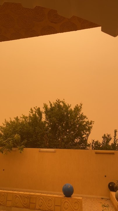 مشاركاتي في أنت الراصد