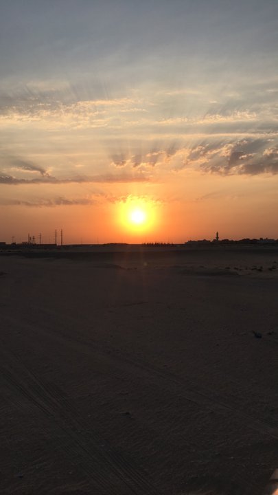 مشاركاتي في أنت الراصد