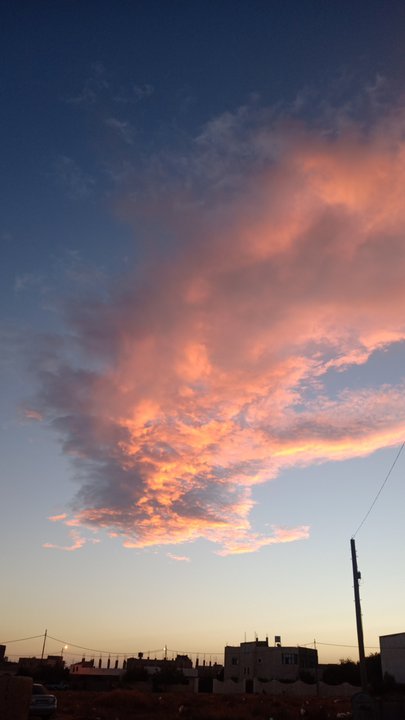 مشاركاتي في أنت الراصد