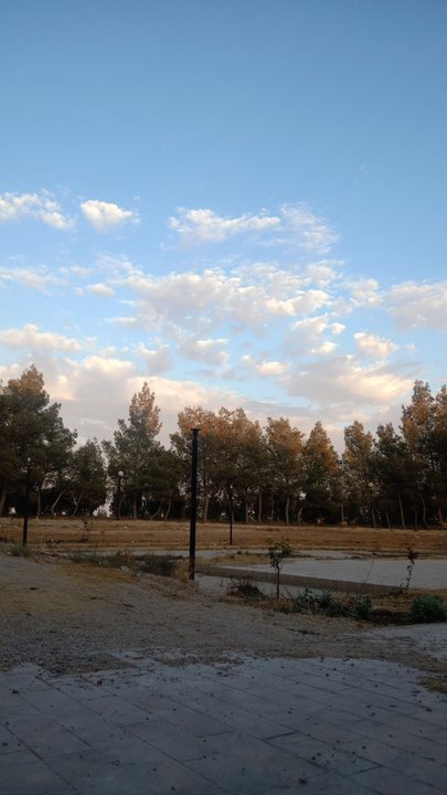 مشاركاتي في أنت الراصد