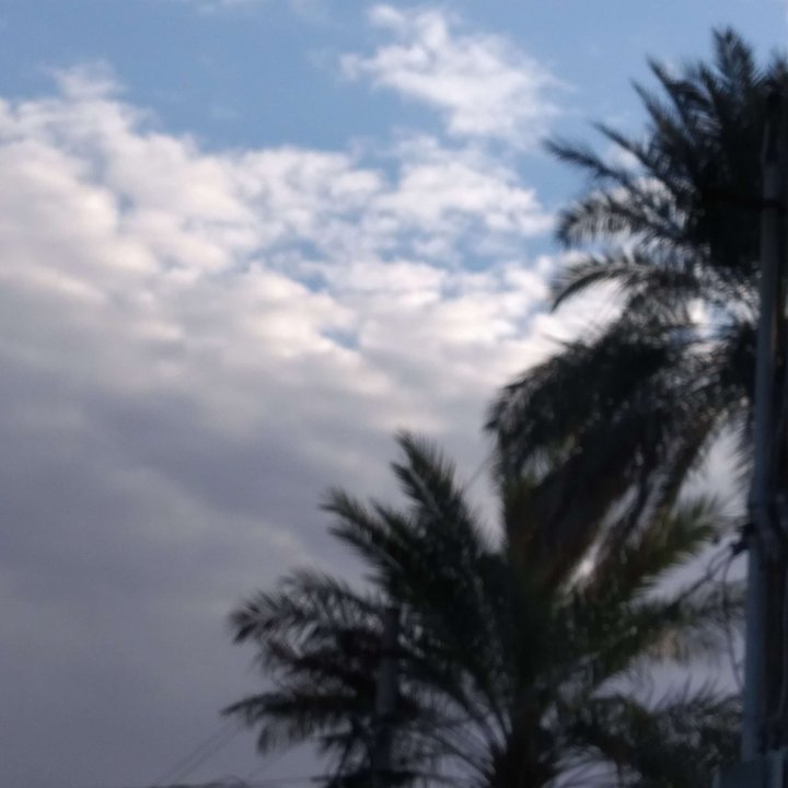 مشاركاتي في أنت الراصد