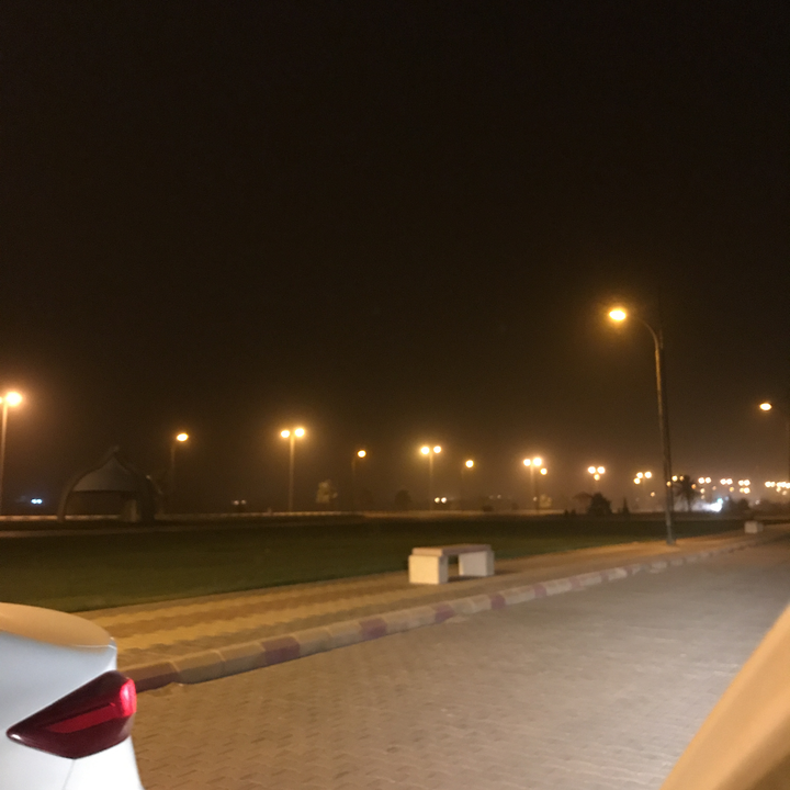 مشاركاتي في أنت الراصد