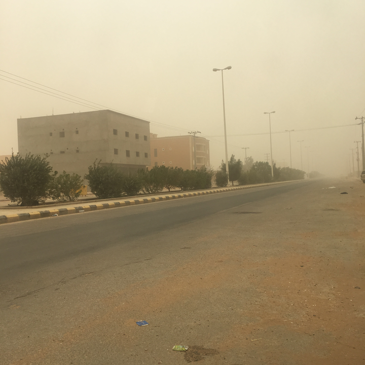 مشاركاتي في أنت الراصد